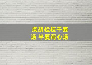 柴胡桂枝干姜汤 半夏泻心汤